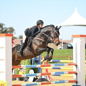 Meet your Posher, Tamara